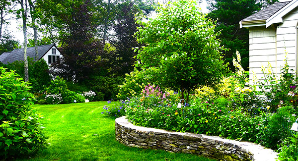 Beautiful curved rock wall with plants and shrubs.